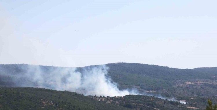 Menteşe’de orman yangını başladı