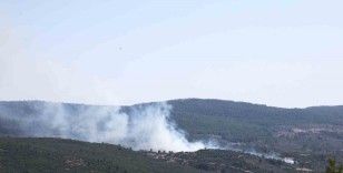Menteşe’de orman yangını başladı

