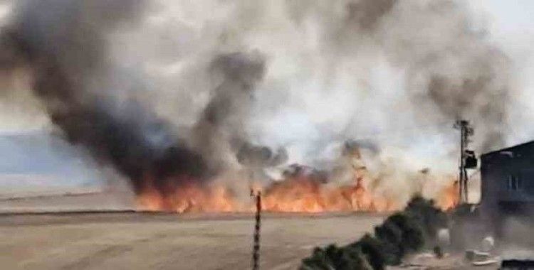 Diyarbakır’ın 3 mahallesinde buğday tarlası yangını