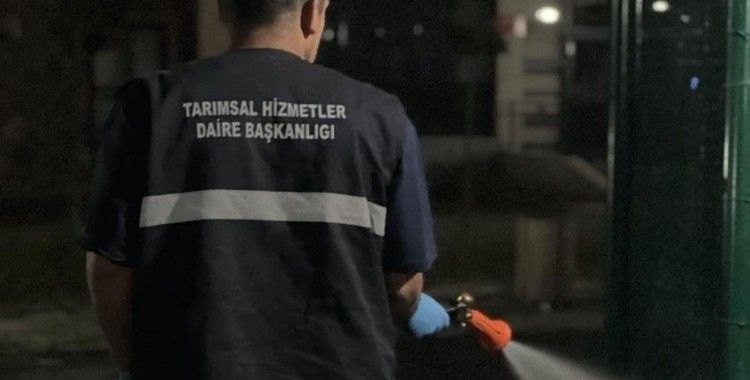 Büyükşehir’den ilaçlama atağı
