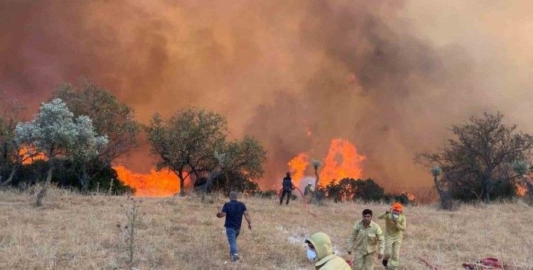 Aydın’da hafta sonu 11 yangın çıktı