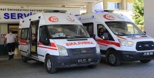 Elazığ’da kenenin ısırdığı adam hastaneye kaldırıldı
