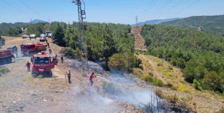 Marmaris’teki orman yangını büyümeden söndürüldü