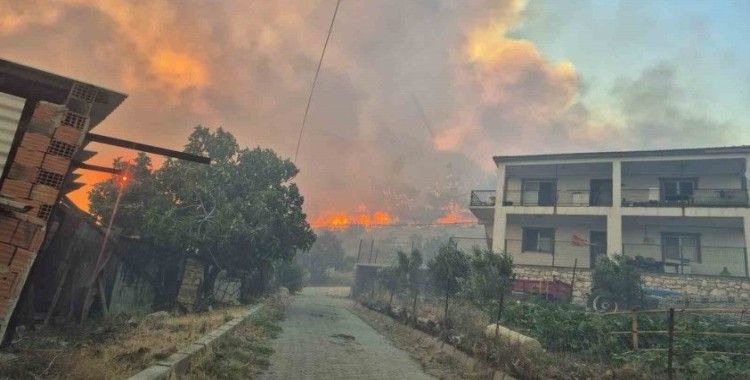 İzmir’de orman yangını kontrol altında