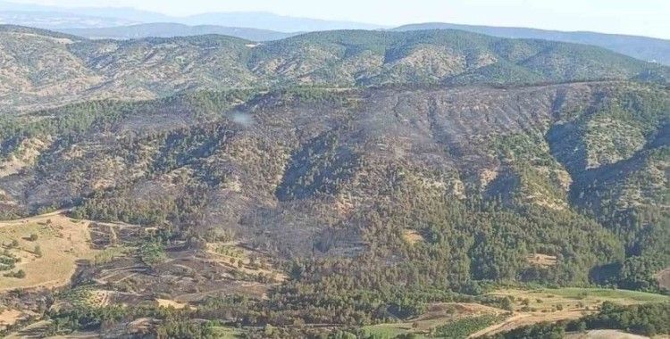 Bilecik’te dün çıkan orman yangını kontrol altına alındı