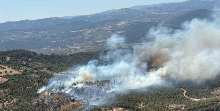 Balıkesir’de araziden ormana sıçrayan yangına müdahale sürüyor