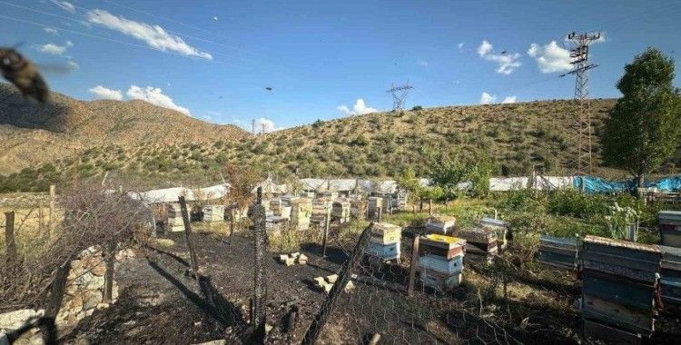 Oltu’da yangın faciası: 30 arı kovanı telef oldu