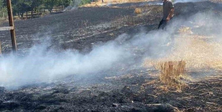 Elazığ’da yangın: Ekili alan küle döndü