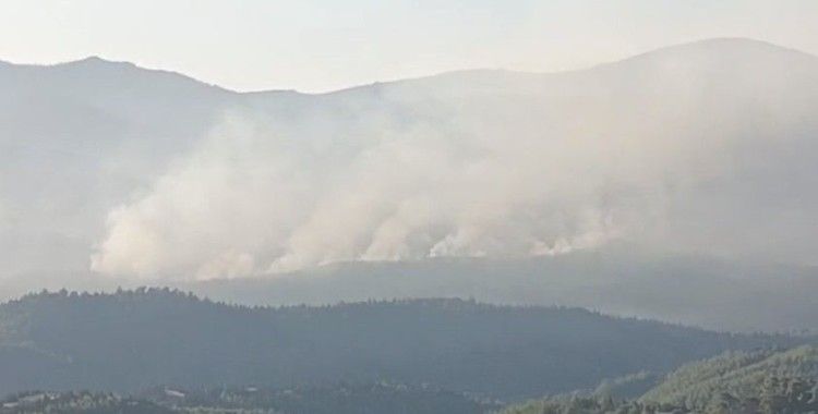 İzmir’de orman yangını sürüyor... Günün aydınlanmasıyla havadan müdahale yeniden başladı