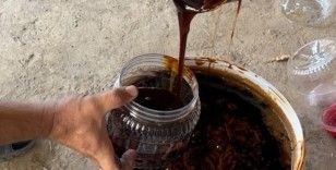 Tarım Müdürü Akar’dan kışa tatlı hazırlık
