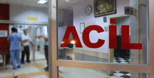 Şanlıurfa'da başıboş köpeğin saldırısından kaçan çocuğa otomobil çarptı