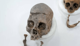 Kolombiya'da yeni bir insan türü keşfedildi: Checua