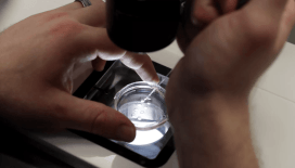 Kısırlık tedavisinde devrim: İnsan derisi DNA'sından embriyo üretildi