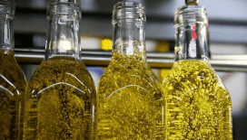 Zeytinyağı sektörünün en eski firmalarından biriydi: Konkordato ilan etti