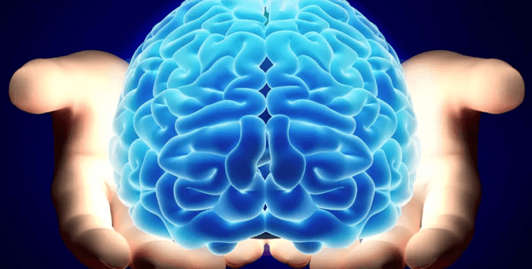 Nörologlar beyin için en zararlı 6 gıdayı açıkladı