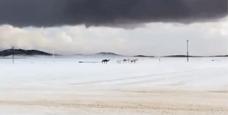 Arabistan'a kar yağdı mı? Arabistan'ın neresine kar yağdı , Kabe'ye Mekke'ye kar yağdı mı?