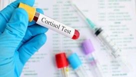 Stres bulaşıcı olabilir: 'Kortizol Seviyeleri Ortamı Etkiliyor'