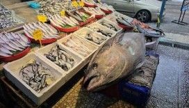 Dev bir mavi yüzgeçli orkinos 3.2 milyon dolara satılarak rekor kırdı