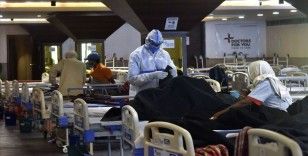 Hindistan'da nipah virüsü salgını