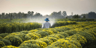 Dünyada üretimde lider olan ülkeler