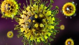 Nipah virüsü alarmı: Asya’da taramalar sıkılaştırıldı, ölüm oranı yüzde 40 ila yüzde 75