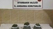 Diyarbakır’da uyuşturucu operasyonları: 12 şüpheli hakkında işlem yapıldı