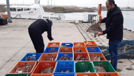 Yasal sınır aşıldı: Yaklaşık 1 ton balığa el konuldu