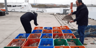 Yasal sınır aşıldı: Yaklaşık 1 ton balığa el konuldu