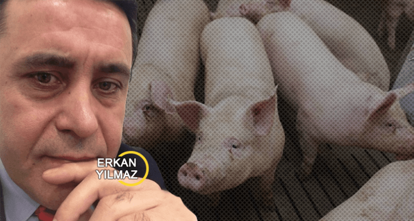 Türk siyasetinin yeni ve güncel aparatı: Domuz eti…